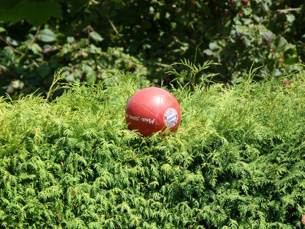 FC Bayern Ball